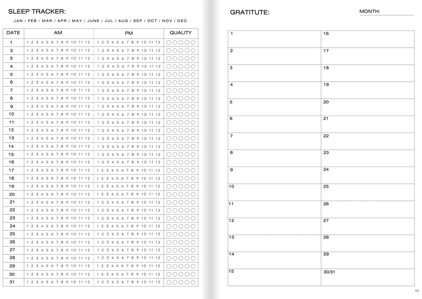 DOER PRODUCTIVITY MANIFESTATION PLANNER